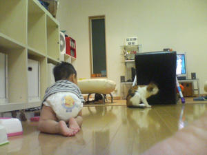 DSC00611.JPG