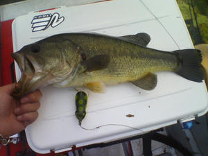 DSC00617.JPG