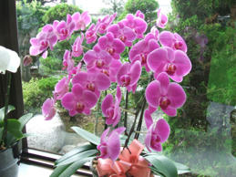 DSCF0606.JPG