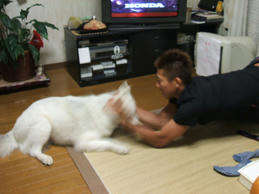 DSCF0658.JPG