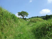 DSCF0664.JPG