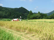 DSCF0666.JPG