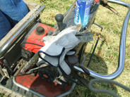 DSCF0669.JPG