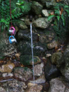 DSCF0691.JPG