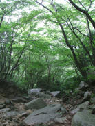 DSCF0696.JPG