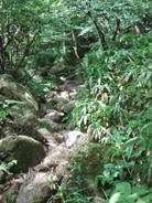 DSCF0700.JPG