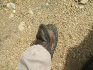 DSCF0702.JPG