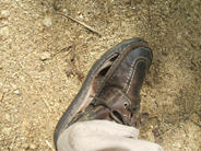 DSCF0703.JPG