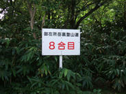 DSCF0704.JPG