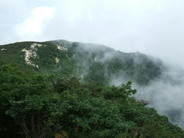 DSCF0707.JPG