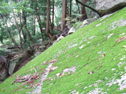 DSCF0716.JPG