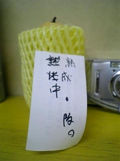 070902_091603_M.jpg