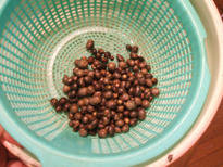 DSCF0754.JPG