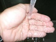 DSCF0732.JPG