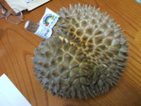 DSCF0749.JPG