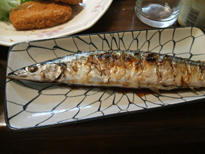 DSCF0753.JPG