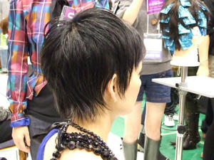 ace1376cjpeg