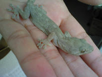 200710150946000.jpg