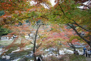 DSC_0184.JPG
