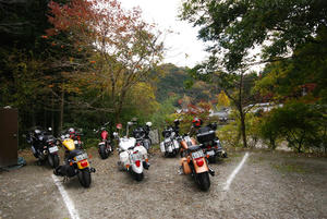 DSC_0195.JPG