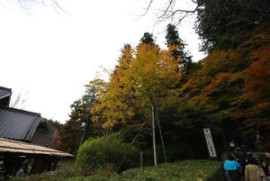 DSC_0187.JPG