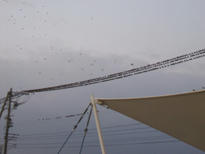 DSCF0932.JPG