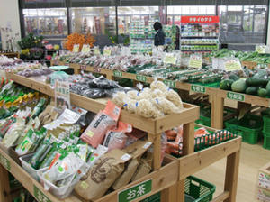 DSCF0933.JPG