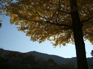 DSCF1138.JPG