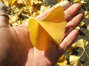 DSCF1142.JPG