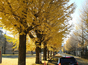 DSCF1143.JPG