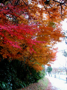 DSCF1169.JPG