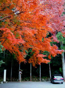 DSCF1173.JPG