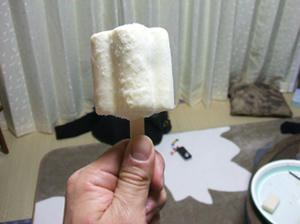 DSCF1161.JPG