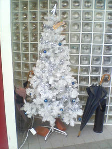 46390803.jpeg