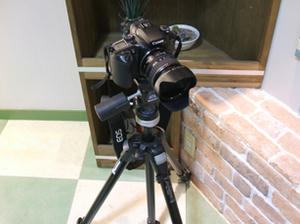 DSCF1193.JPG
