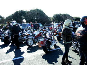 DSCF1202.jpg