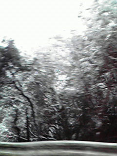 200801210903000.jpg