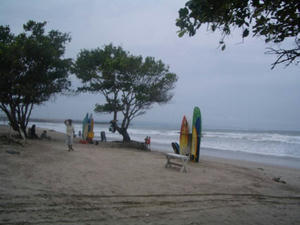 IMGP0804.jpg