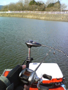 DSC00667.JPG