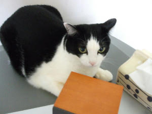 2008_0208_213423.JPG
