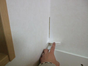 2008_0208_213404.JPG
