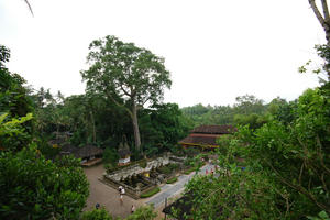 DSC_0107.JPG