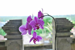 CSC_00405.JPG