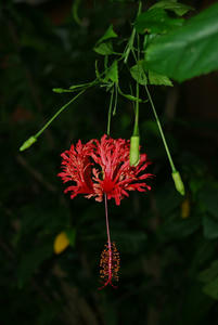 DSC_0361.JPG