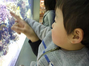 DSCF0097.jpg