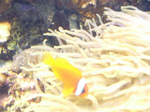 DSCF0100.jpg