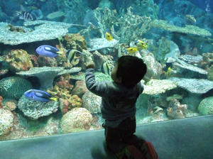 DSCF0105.jpg
