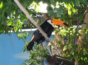 DSCF0140.jpg