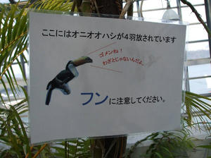 DSCF0141.jpg
