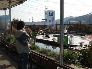 DSCF0173.jpg